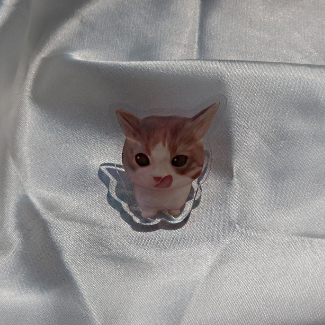 Cat Pin