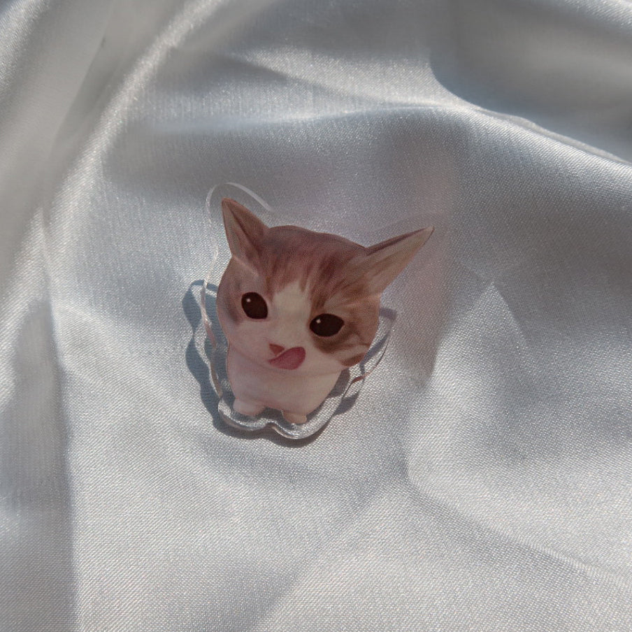 Cat Pin