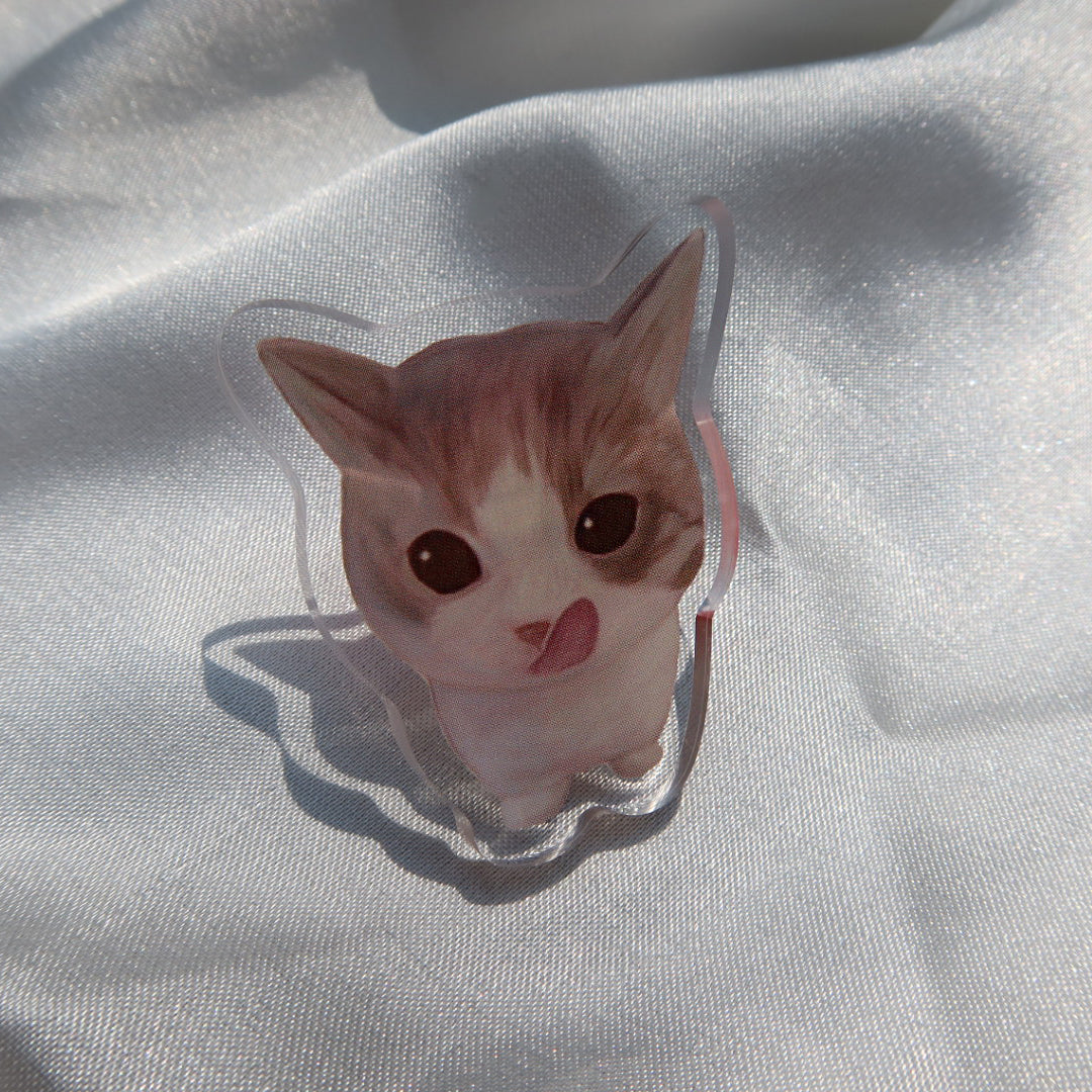 Cat Pin