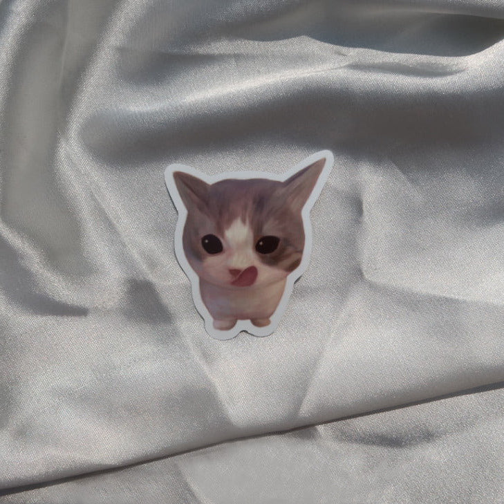 Cat Sticker