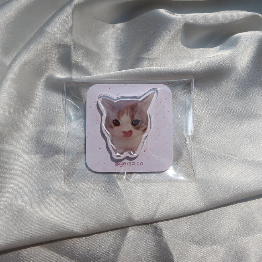 Cat Pin