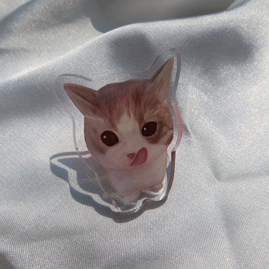 Cat Pin